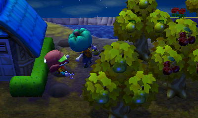 Samus Tom in a hole.