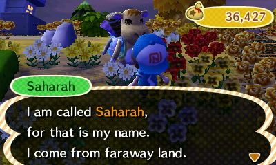 Saharah: I am called Saharah, for that is my name. I come from faraway land.
