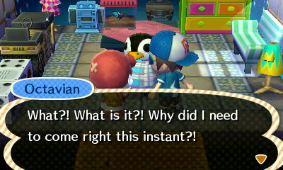 Octavian: What?! What is it?! Why did I need to come right this instant?!