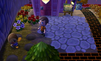 Molly looking her normal ducky self.