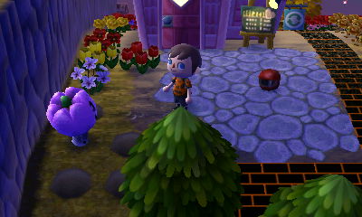 Molly wearing a purple pumpkin head.