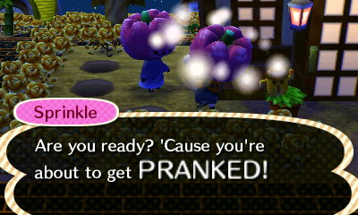 Sprinkle: Are you ready? 'Cause you're about to get PRANKED!