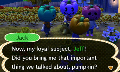 Jack: Now, my loyal subject, Jeff! Did you bring me that important thing we talked about, pumpkin?