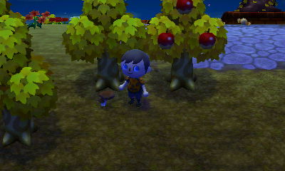 A mushroom on the ground.