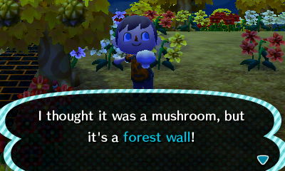 I thought it was a mushroom, but it's a forest wall!