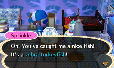 Sprinkle: Oh! You've caught me a nice fish! It's a zebra turkeyfish!