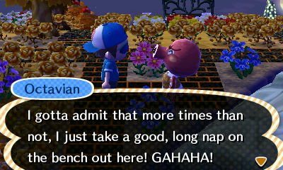 Octavian: I gotta admit that more times than not, I just take a good, long nap on the bench out here! GAHAHA!