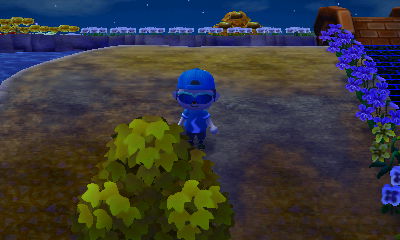 The empty spot where Kidd's house was.