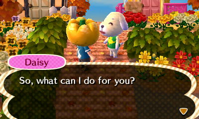Daisy: So, what can I do for you?