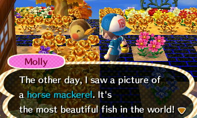 Molly: The other day, I saw a picture of a horse mackerel. It's the most beautiful fish in the world!
