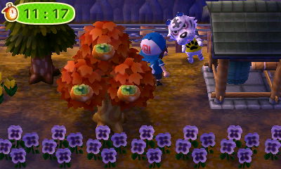 Rolf hiding behind my zen bell.