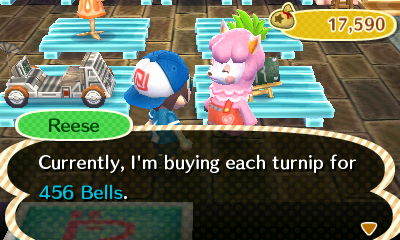 Reese: Currently, I'm buying each turnip for 456 bells.