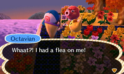 Octavian: Whaat?! I had a flea on me!