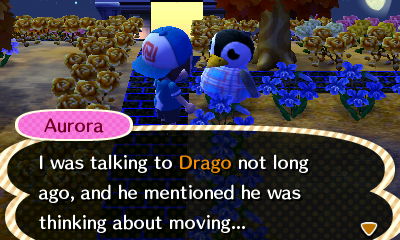 Aurora: I was talking to Drago not long ago, and he mentioned he was thinking about moving...