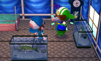 Big Top takes his medicine.