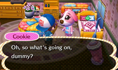Cookie: Oh, so what's going on, dummy?