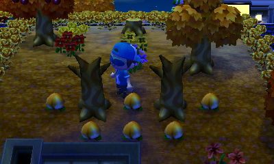 Two dead perfect peach trees.