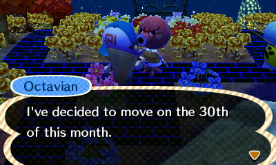 Octavian: I've decided to move on the 30th of this month.