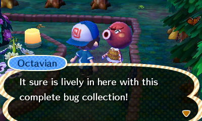 Octavian: It sure is lively in here with this complete bug collection!