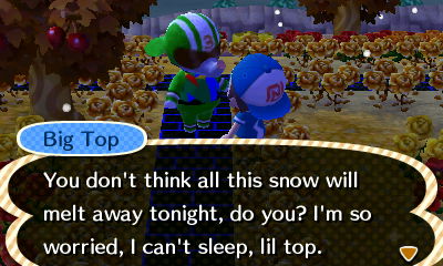 Big Top: You don't think all this snow will melt away tonight, do you? I'm so worried, I can't sleep.
