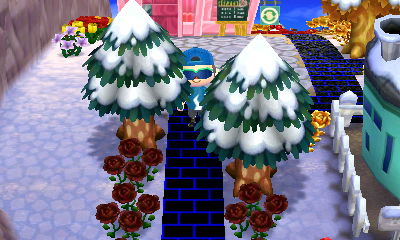 Snow on the ground and trees!