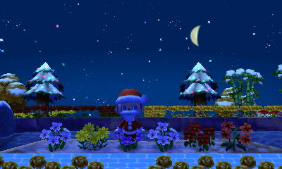 Two decorated cedar trees.