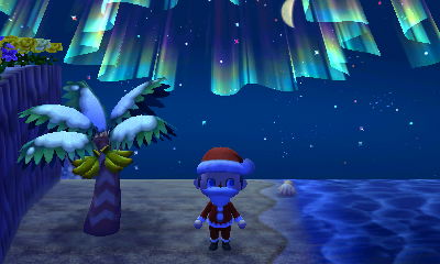 The view of the northern lights from the beach.