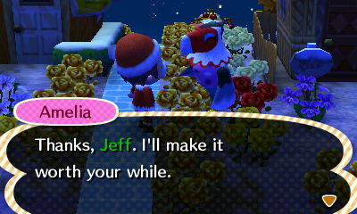 Amelia: Thanks, Jeff. I'll make it worth your while.
