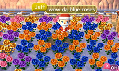 Blue and orange roses in Madisyn's town Johto.