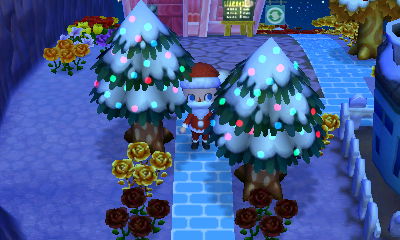 Christmas lights on two cedar trees.