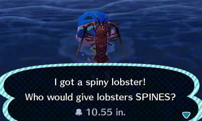I got a spiny lobster! Who would give lobsters SPINES?