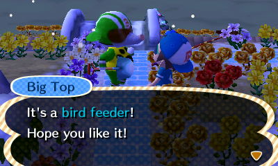 Big Top: It's a bird feeder! Hope you like it!