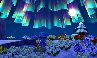 The northern lights.