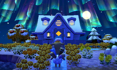 Leading Saharah to my house under the northern lights.