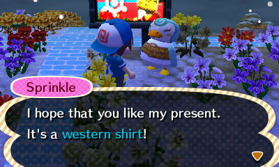 Sprinkle: I hope that you like my present. It's a western shirt!