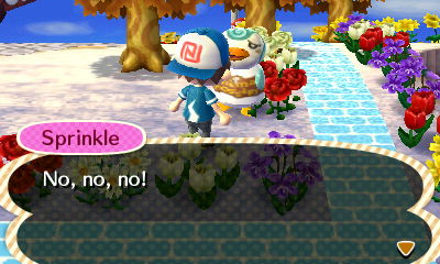 Sprinkle: No, no, no!