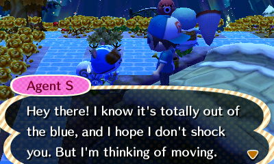 Agent S: Hey there! I know it's totally out of the blue, and I hope I don't shock you. But I'm thinking of moving.