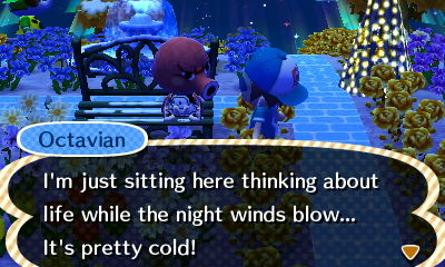 Octavian: I'm just sitting here thinking about life while the night winds blow... It's pretty cold!