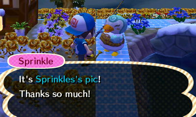Sprinkle: It's Sprinkles's pic! Thanks so much!