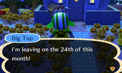 Big Top: I'm leaving on the 24th of this month!