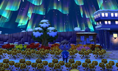 The northern lights.