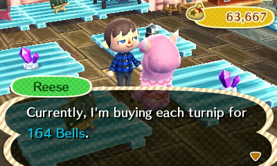Reese: Currently, I'm buying each turnip for 164 bells.