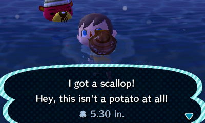 I got a scallop! Hey, this isn't a potato at all!