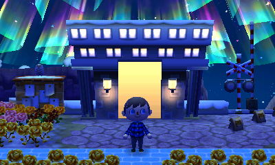 The northern lights above my train station.