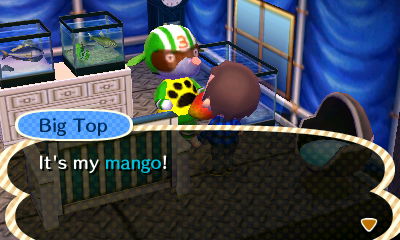 Big Top: It's my mango!