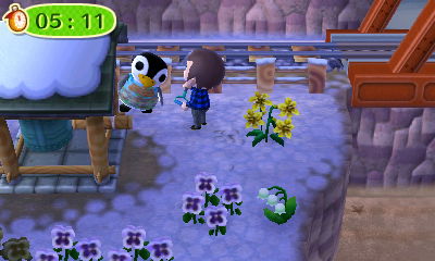 Aurora hiding behind the zen bell.