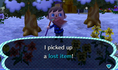 I picked up a lost item!