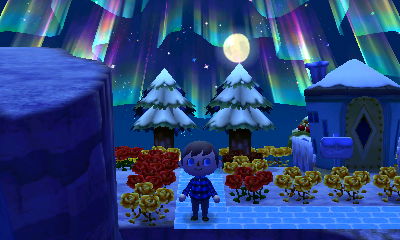 The northern lights above the cedar trees in Forest.