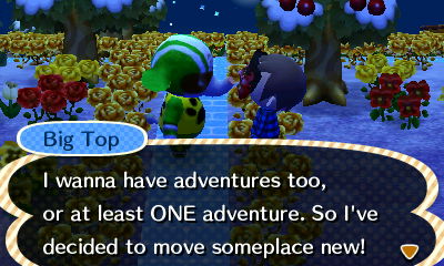 Big Top: I wanna have adventures too, or at least ONE adventure. So I've decided to move someplace new!