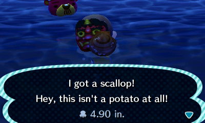 I got a scallop! Hey, this isn't a potato at all!